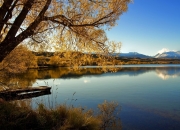 开云体育在线-步行者压哨绝杀灰熊，拉梅洛·鲍尔逆境爆发诠释巨星本色