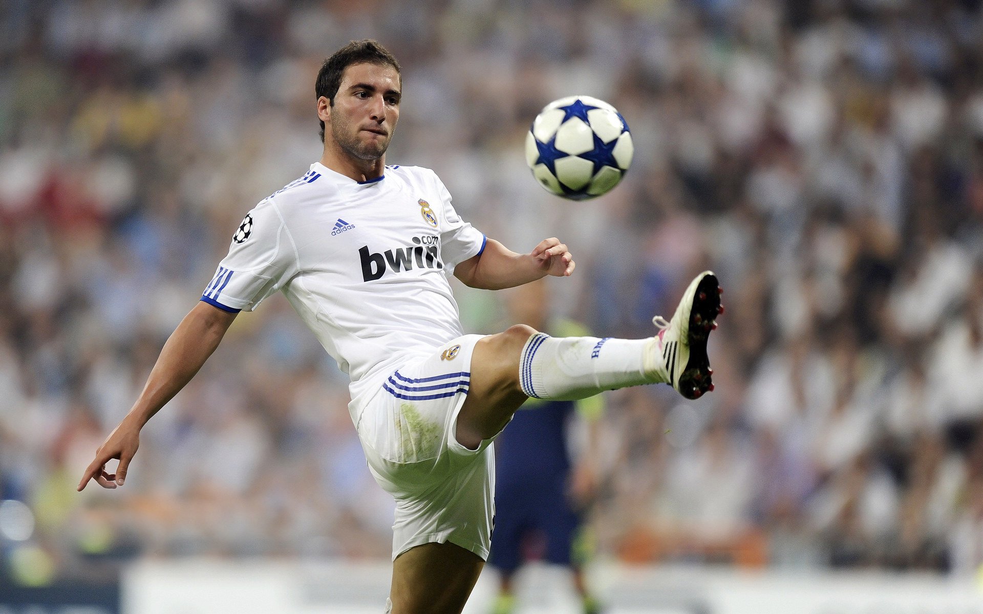 绿茵场外的速胜启示，从伊拉克闪电战看德甲争冠的决胜哲学