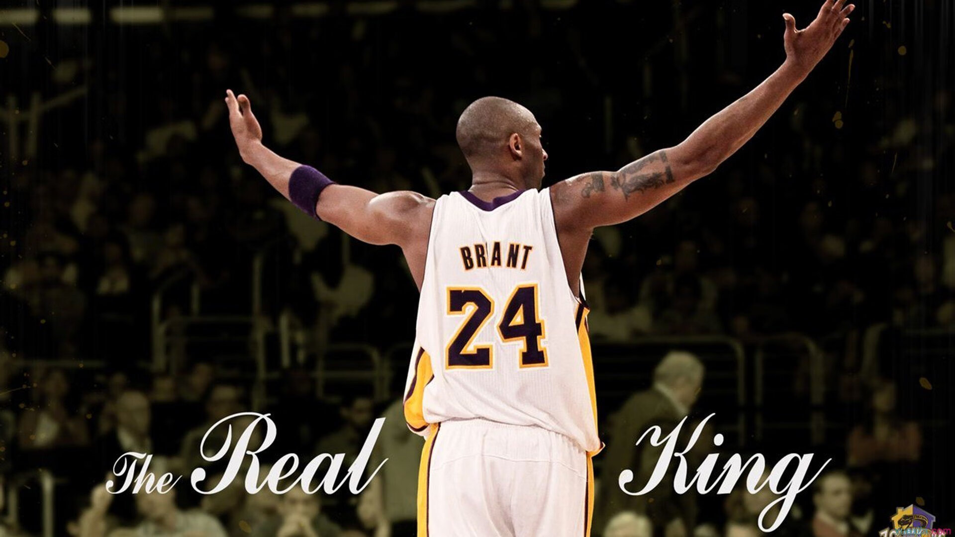 德罗赞式爆发！上海男篮强势晋级之路，诠释勇士精神新内涵